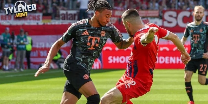 Cập nhật phong độ cặp đấu Heidenheim vs Hamburger SV